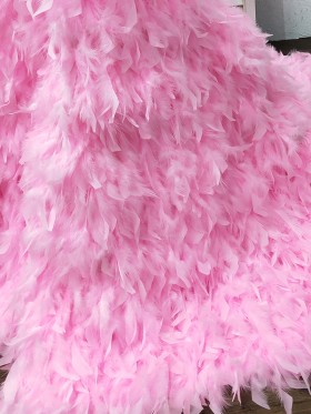 pink ostrich feather