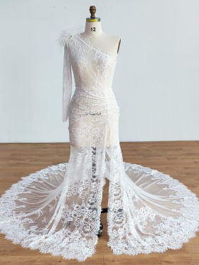 sheer lace with feather one sleeve sexy slit dress