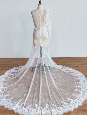 sheer mesh and lace long train one sleeve long dress sheer mesh and lace long train one sleeve long dress