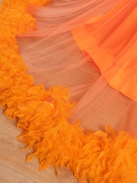 orange feather train orange feather train