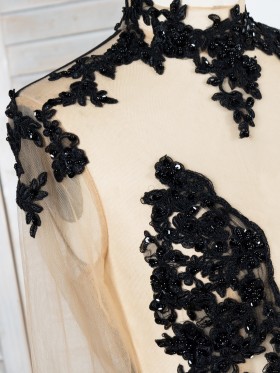 sequinned black lace with nude mesh dress