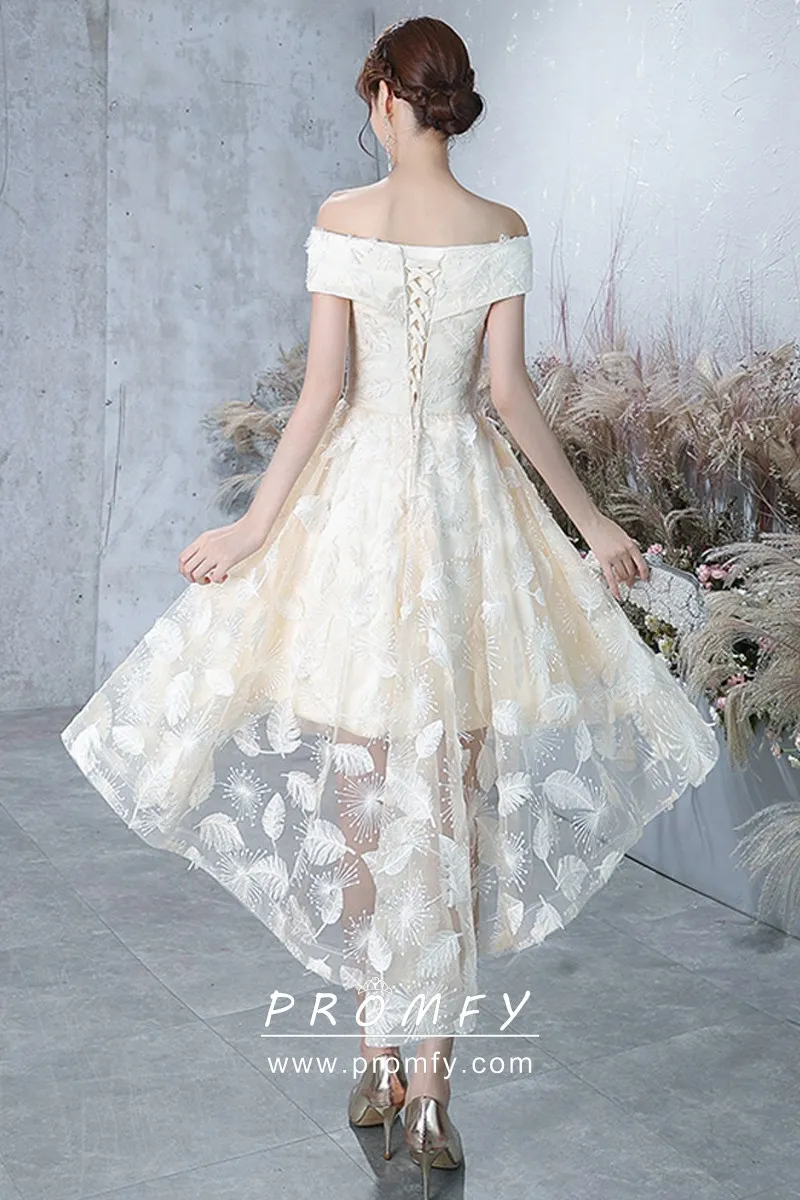 Cream Lace \u0026 Tulle High-low Dress 