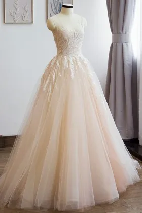 breathtaking lace appliqued champagne tulle dress