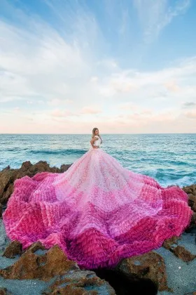 amazing pink ombre tulle tiered royal train occasion dress