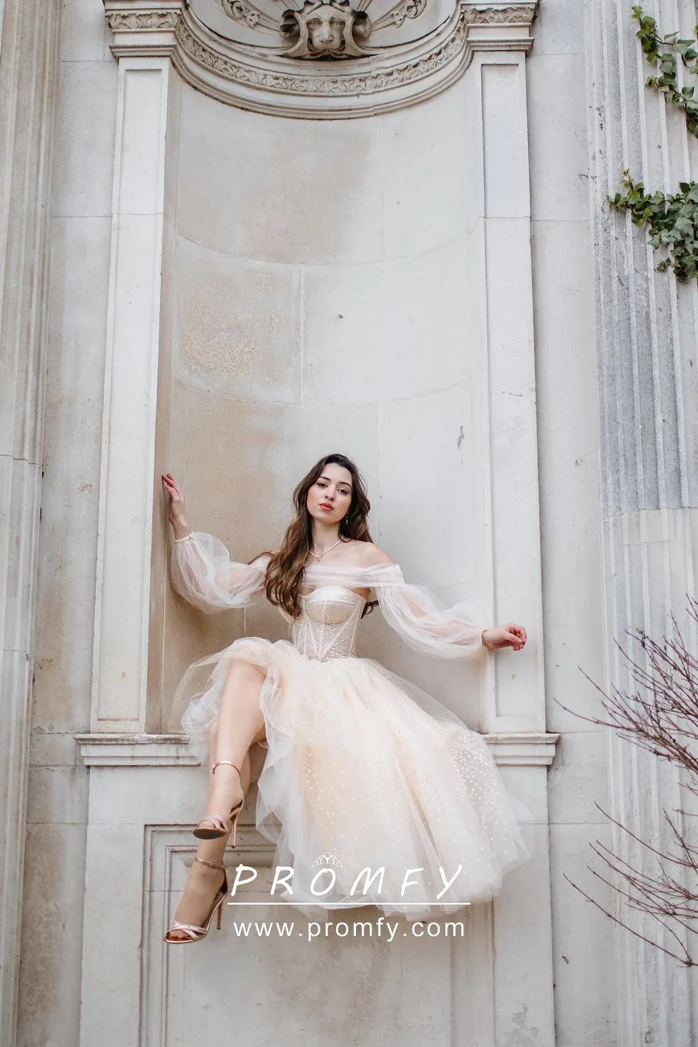 Shimmer Champagne Tulle Puff Sleeve A 