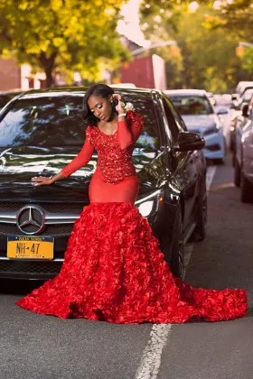 Long Sleeve Dresses \u0026 Formal Gowns 