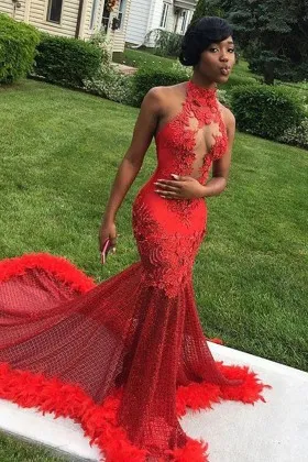 Sexy Red Lace Mesh Feather Long Train 