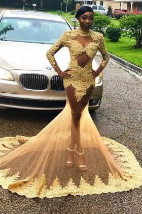 Yellow Cut Out Lace Sheer Tulle Sleeved Prom Dress Promfy