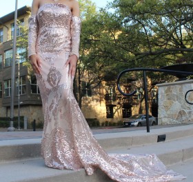 I loved this dress