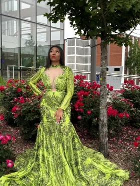 perfect prom dress from Promfy